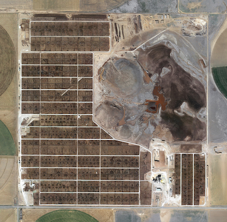 Randall County Feedyard, Amarillo, Texas